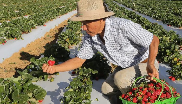 © Valter Campanato/Agência Brasil