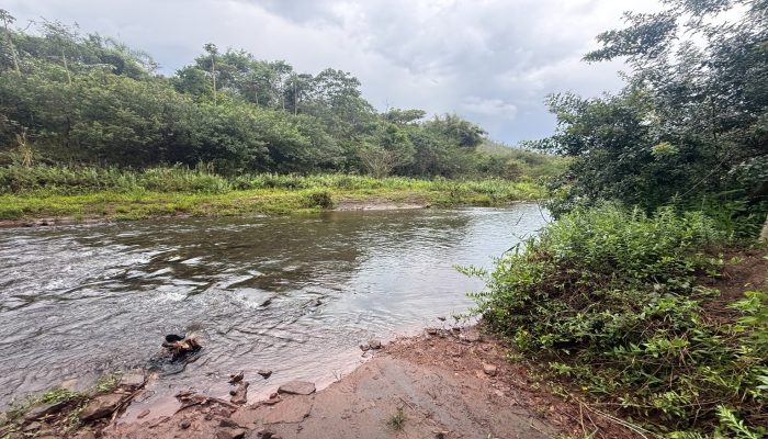Prefeitura Municipal de Mariana - MG