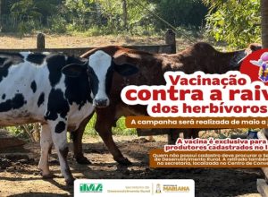 Prefeitura Municipal de Mariana - MG