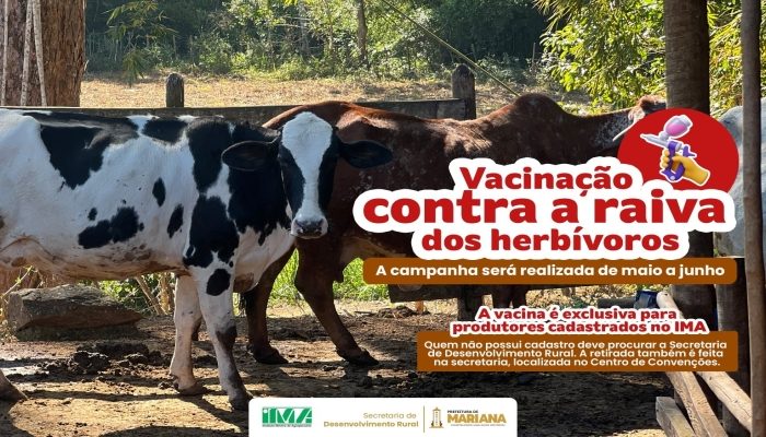 Prefeitura Municipal de Mariana - MG