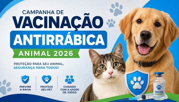 Captura de tela 2026-08-05 104541