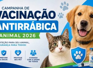 Captura de tela 2026-08-05 104541