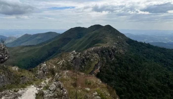 Fonte: https://jornalgeraes.com.br/