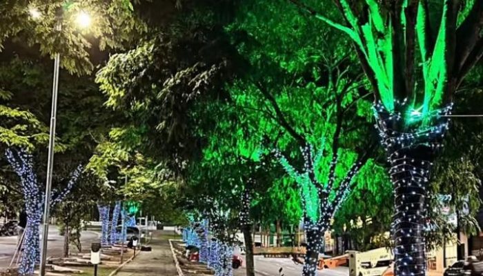 Prefeitura Municipal de Conselheiro Lafaiete