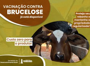 WhatsApp Image 2026-03-20 at 14.31.25