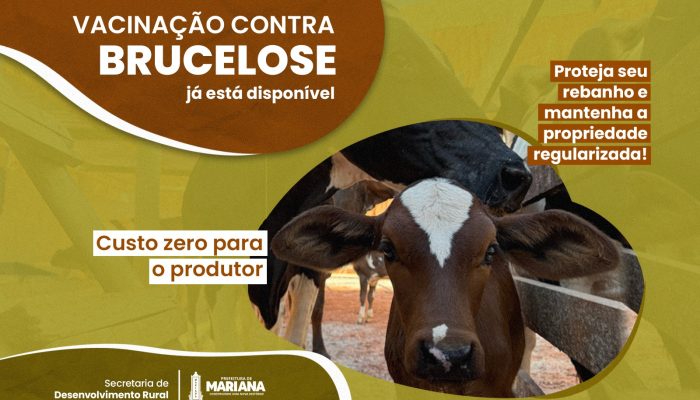 WhatsApp Image 2026-03-20 at 14.31.25