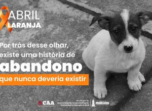 WhatsApp Image 2026-04-17 at 16.05.41 (1)