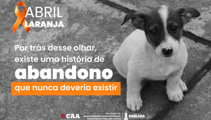 WhatsApp Image 2026-04-17 at 16.05.41 (1)