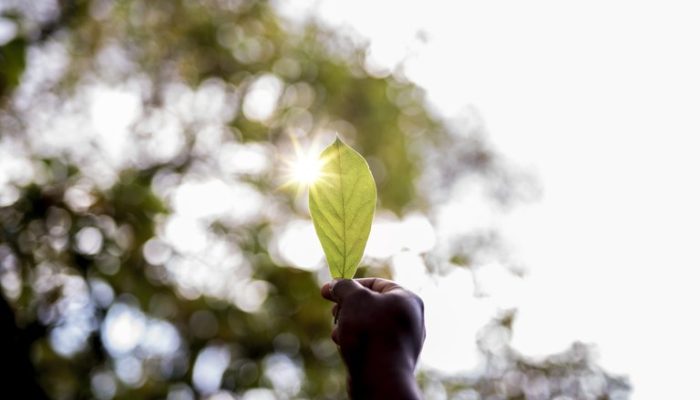 Câmara Municipal de Itabirito