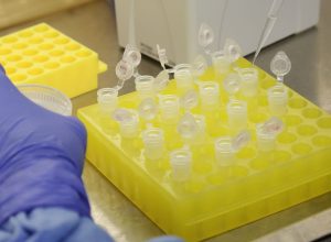 © Divulgação/Josué Damacena (IOC/Fiocruz)