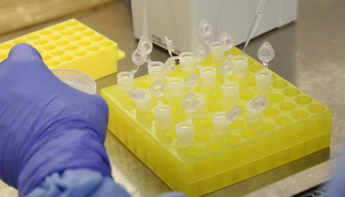 © Divulgação/Josué Damacena (IOC/Fiocruz)