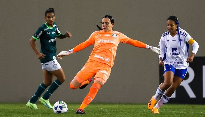© Divulgação/SE Palmeiras