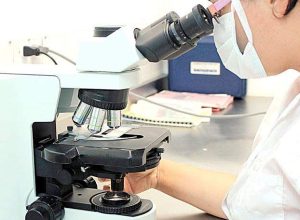 Fapemig tem chamadas abertas para diferentes perfis; especialista orienta empresas a planejar projetos e ler editais com atenção antes de buscar financiamento