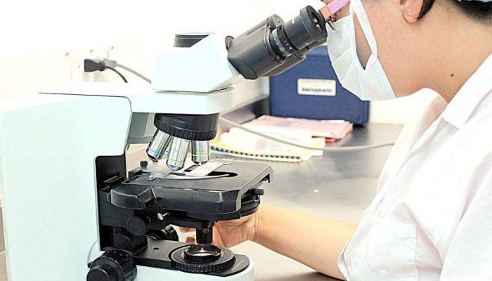 Fapemig tem chamadas abertas para diferentes perfis; especialista orienta empresas a planejar projetos e ler editais com atenção antes de buscar financiamento