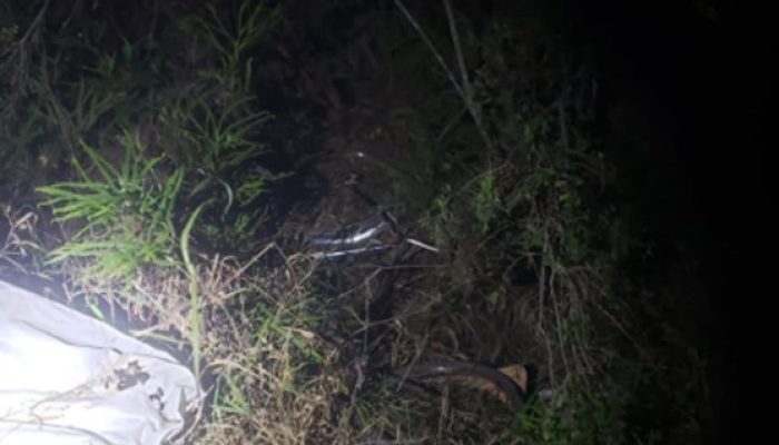 Ciclista é arremessado para barranco e morre após colisão na BR-494 Publicado em 21 de setembr...