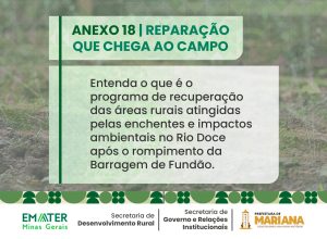 reparação EMATER - site.jpg