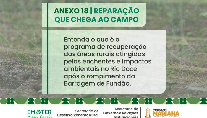 reparação EMATER - site.jpg