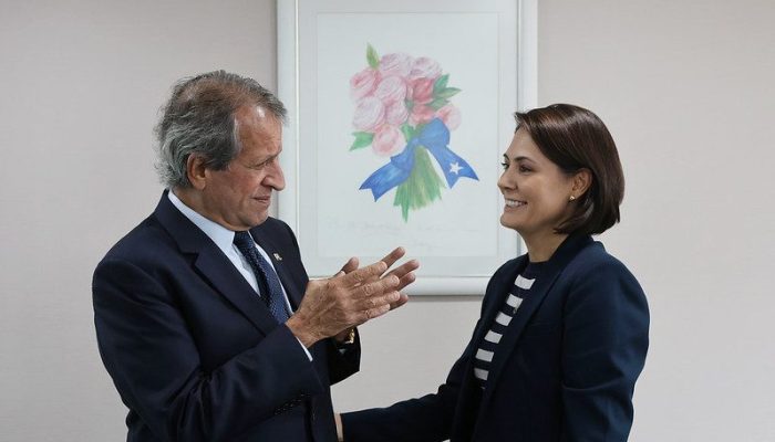 Saída de Flávio abre disputa no PL por quem fala em nome de Bolsonaro